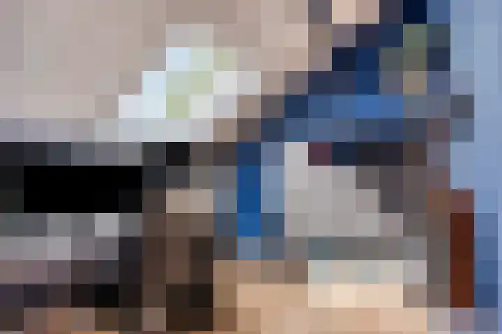 Laaghei 2 Veldhoven thumbnail 26