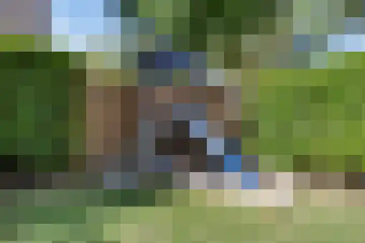 Laaghei 2 Veldhoven thumbnail 29