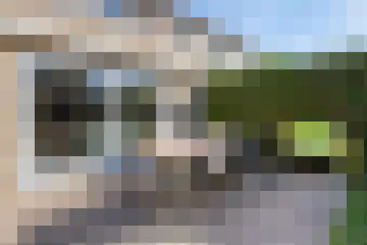 Laaghei 2 Veldhoven thumbnail 30