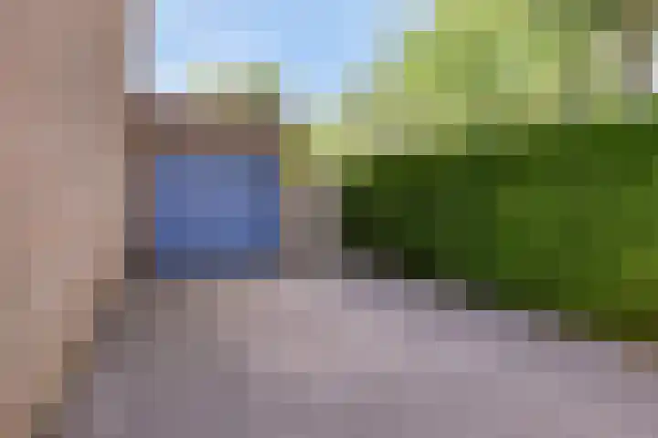 Laaghei 2 Veldhoven thumbnail 32