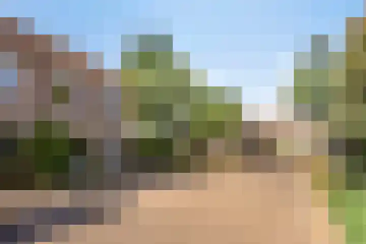 Laaghei 2 Veldhoven thumbnail 33