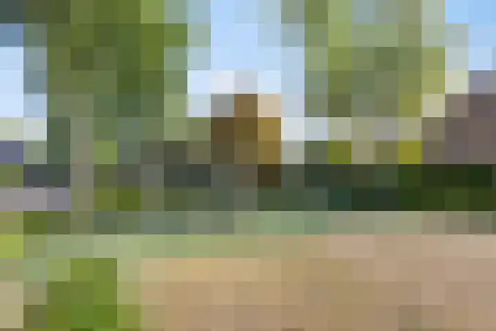 Laaghei 2 Veldhoven thumbnail 35