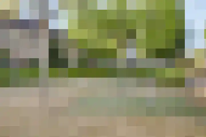Laaghei 2 Veldhoven thumbnail 36
