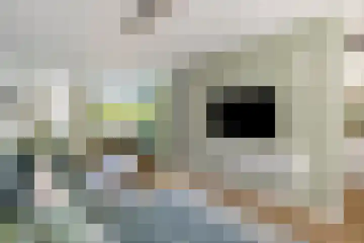 Laaghei 2 Veldhoven thumbnail 4