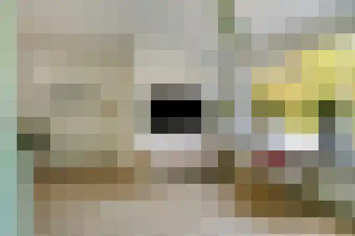 Laaghei 2 Veldhoven thumbnail 5