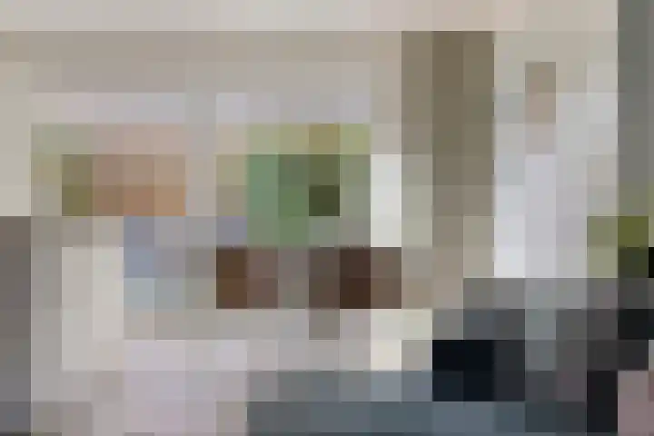 Laaghei 2 Veldhoven thumbnail 7