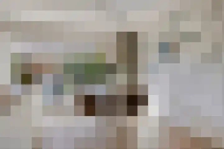 Laaghei 2 Veldhoven thumbnail 8