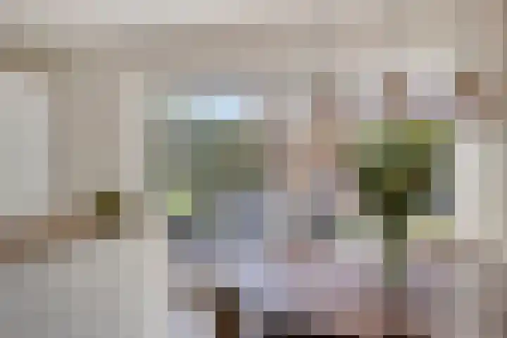Laaghei 2 Veldhoven thumbnail 9