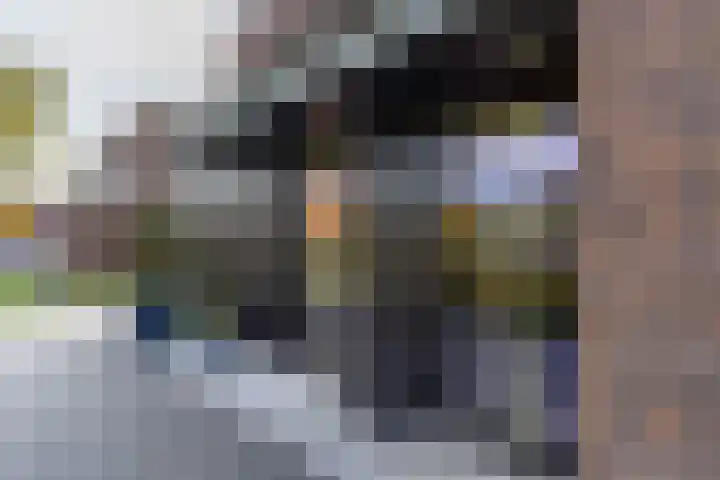 Laagheidehof 33 Venray thumbnail 11