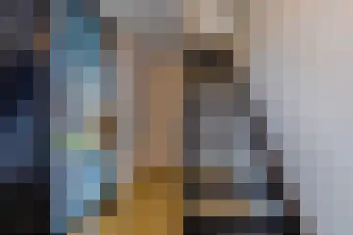 Laagheidehof 33 Venray thumbnail 12