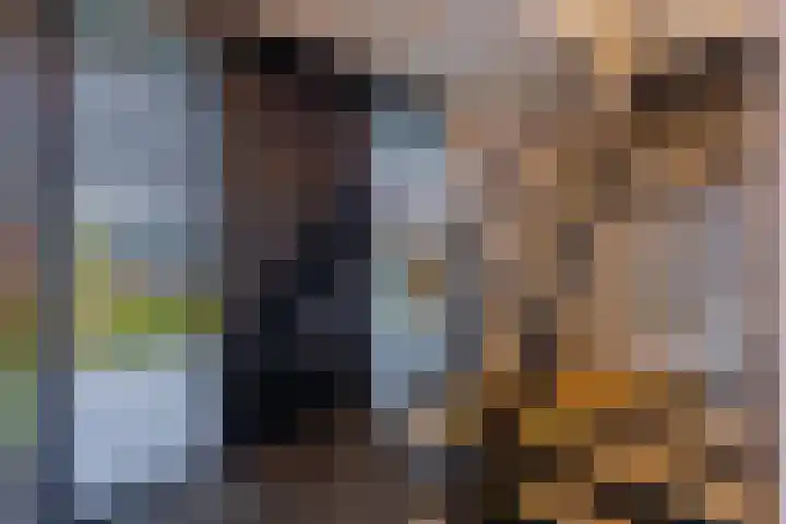 Laagheidehof 33 Venray thumbnail 14