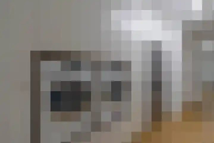 Laagheidehof 33 Venray thumbnail 16