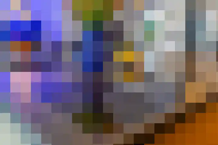 Laagheidehof 33 Venray thumbnail 21