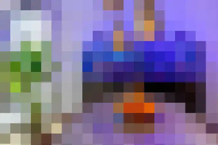 Laagheidehof 33 Venray thumbnail 24