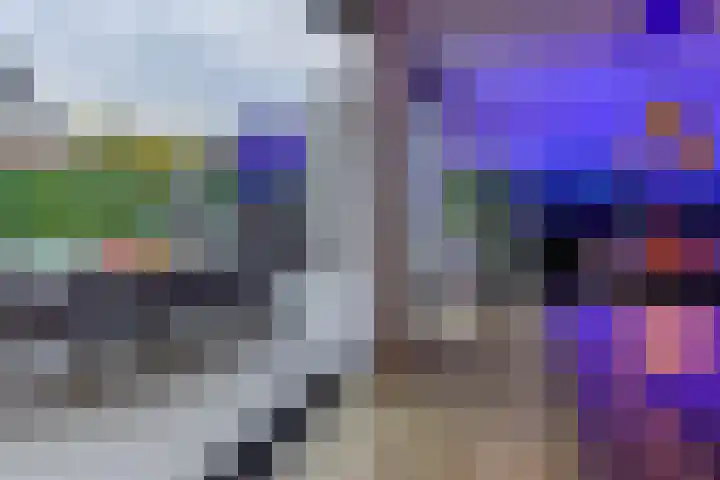 Laagheidehof 33 Venray thumbnail 26
