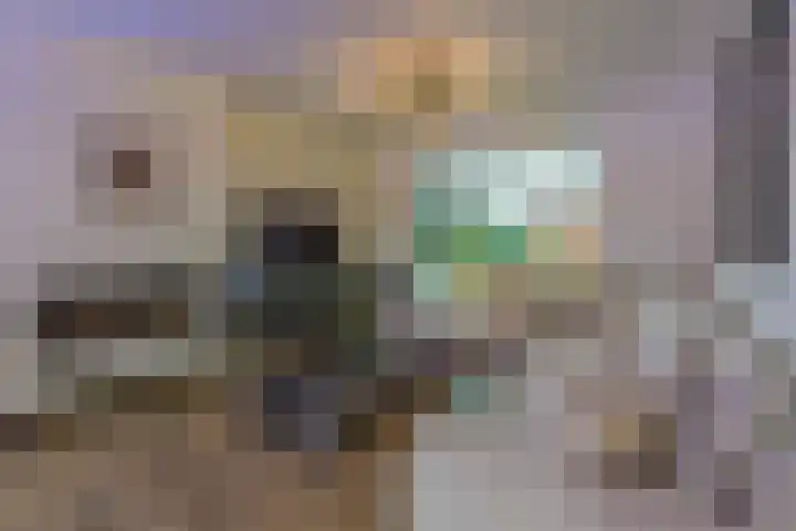 Laagheidehof 33 Venray thumbnail 29