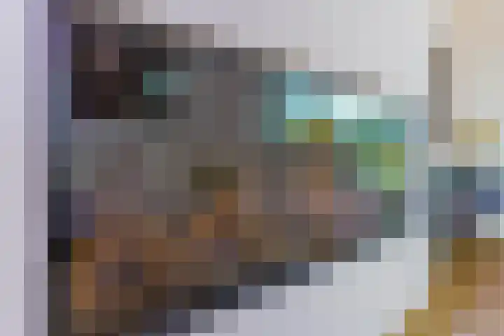 Laagheidehof 33 Venray thumbnail 31