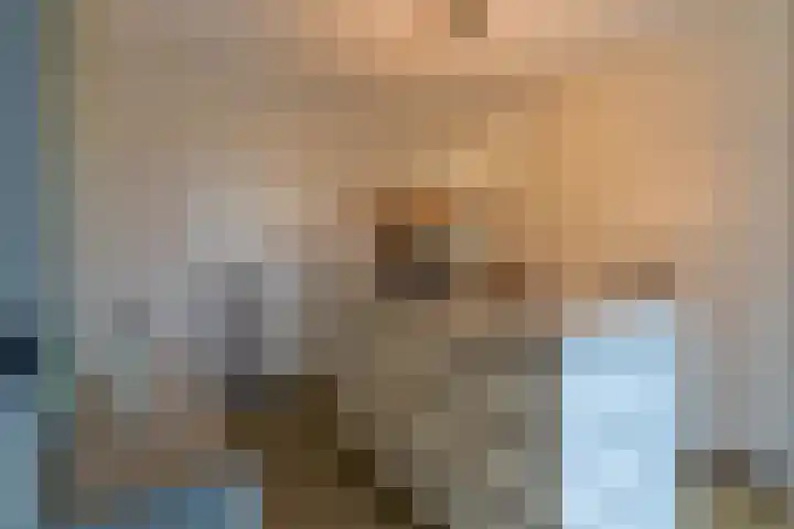 Laagheidehof 33 Venray thumbnail 36