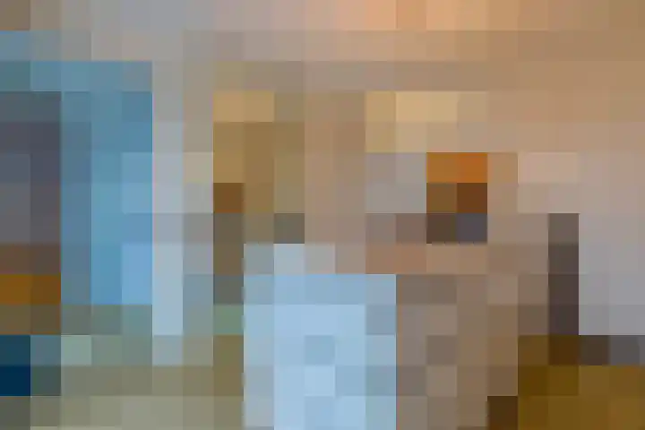 Laagheidehof 33 Venray thumbnail 37