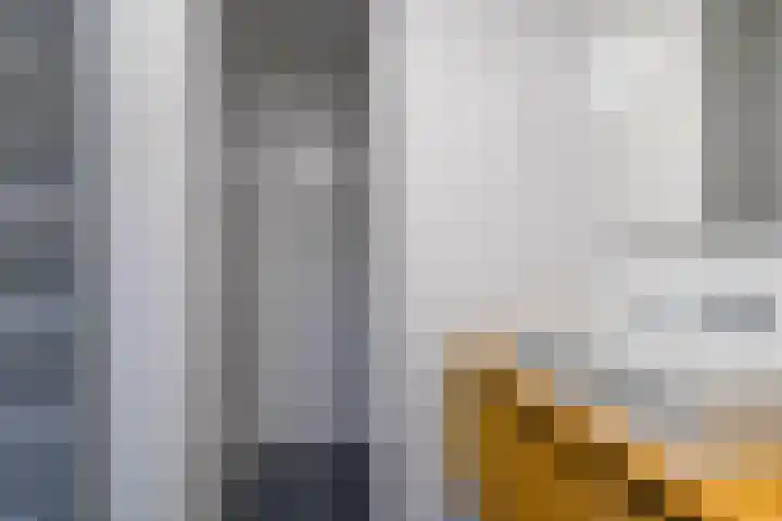 Laagheidehof 33 Venray thumbnail 40