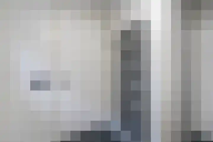 Laagheidehof 33 Venray thumbnail 41
