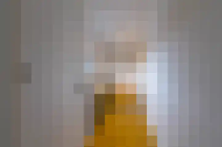 Laagheidehof 33 Venray thumbnail 43
