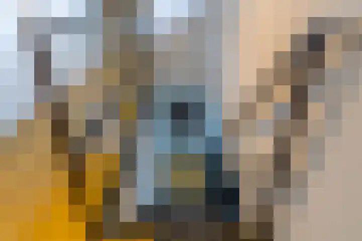 Laagheidehof 33 Venray thumbnail 44