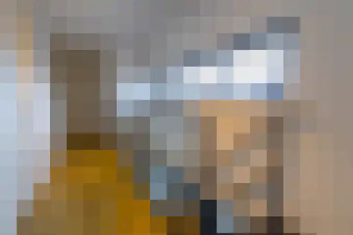 Laagheidehof 33 Venray thumbnail 45