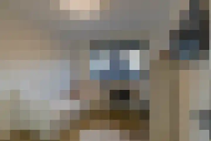 Laagheidehof 33 Venray thumbnail 46