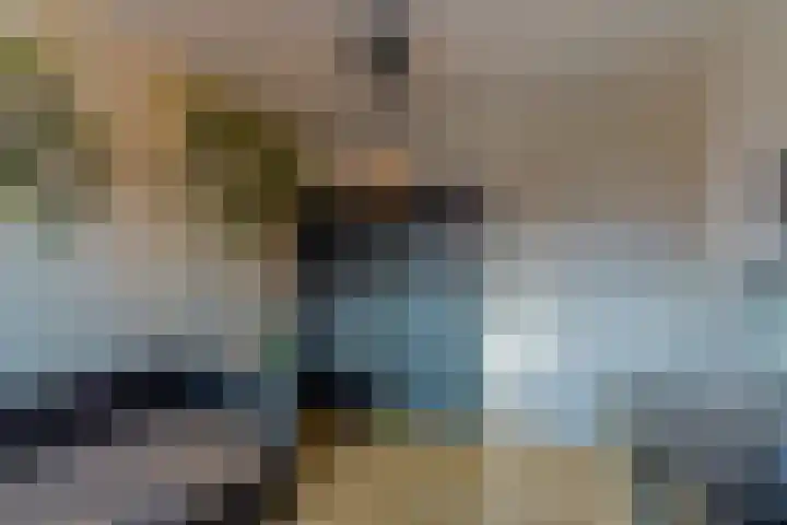 Laagheidehof 33 Venray thumbnail 49