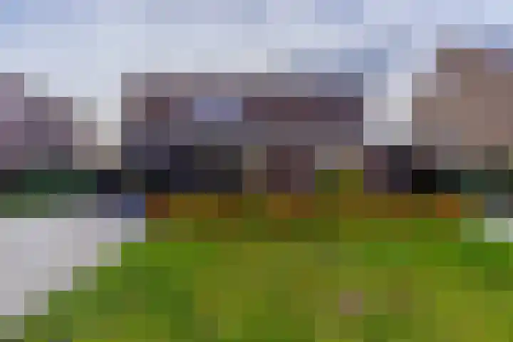 Laagheidehof 33 Venray thumbnail 5
