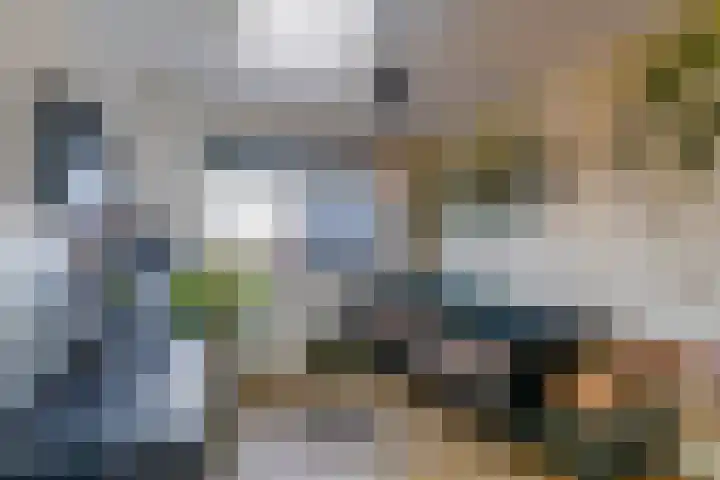 Laagheidehof 33 Venray thumbnail 50
