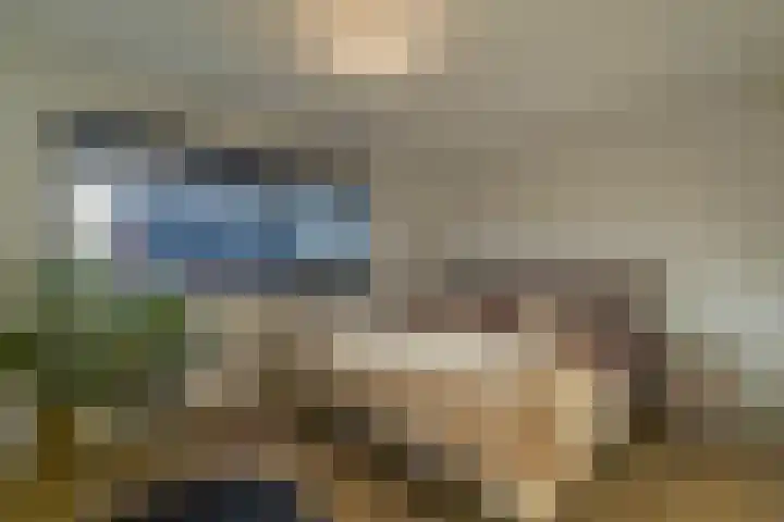 Laagheidehof 33 Venray thumbnail 51