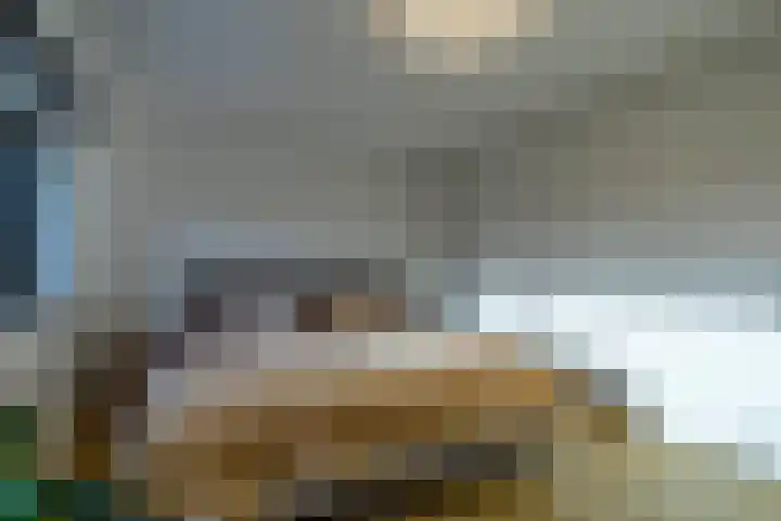 Laagheidehof 33 Venray thumbnail 52