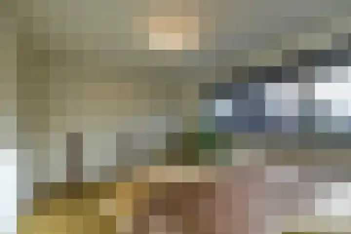 Laagheidehof 33 Venray thumbnail 53