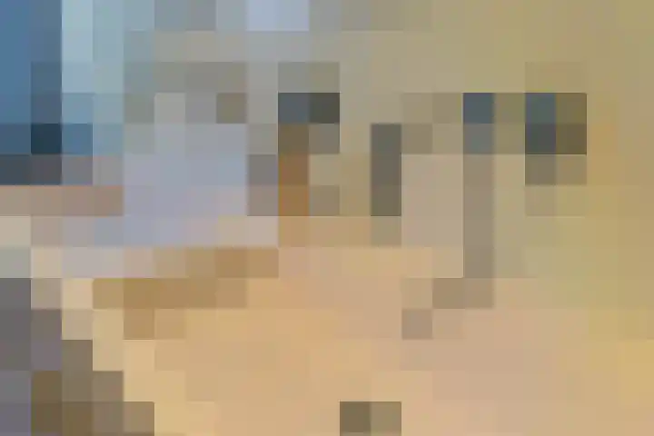 Laagheidehof 33 Venray thumbnail 55