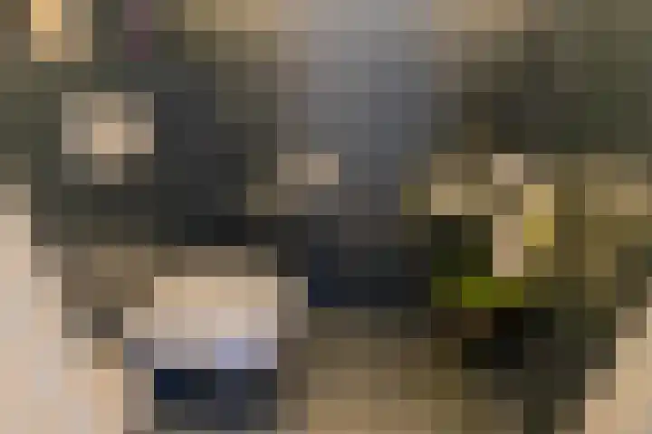 Laagheidehof 33 Venray thumbnail 57