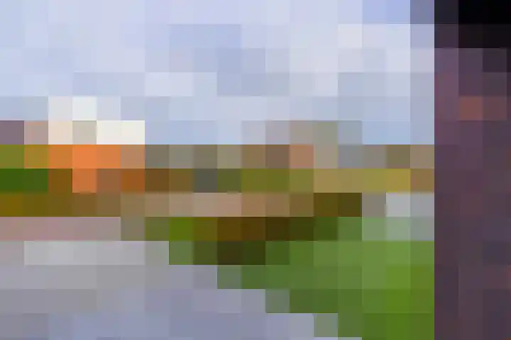 Laagheidehof 33 Venray thumbnail 8
