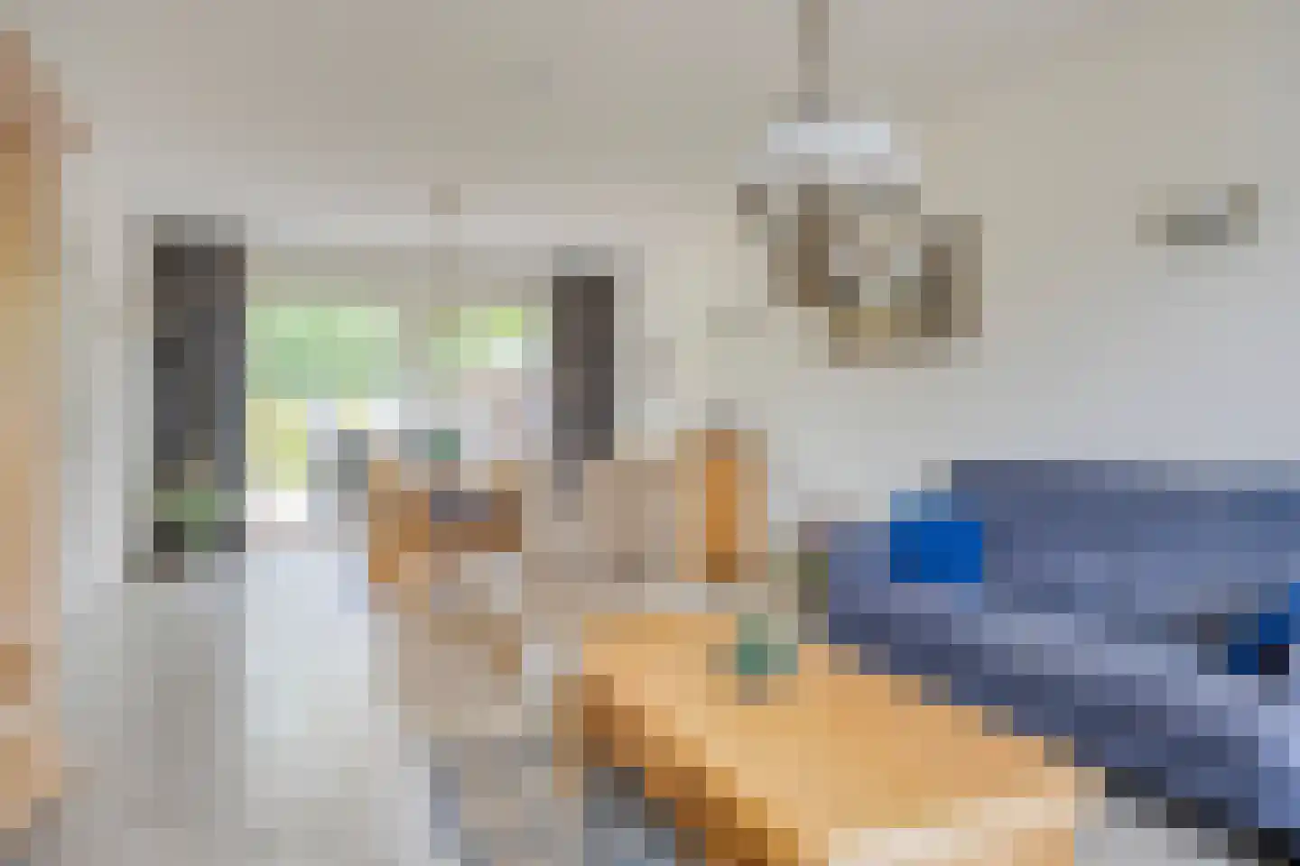 Laagheidseweg 2 Venray thumbnail 13