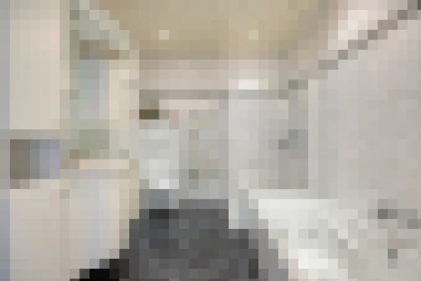 Laagheidseweg 2 Venray thumbnail 19
