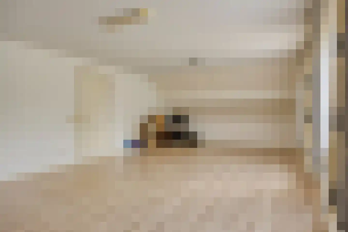 Laagheidseweg 2 Venray thumbnail 28