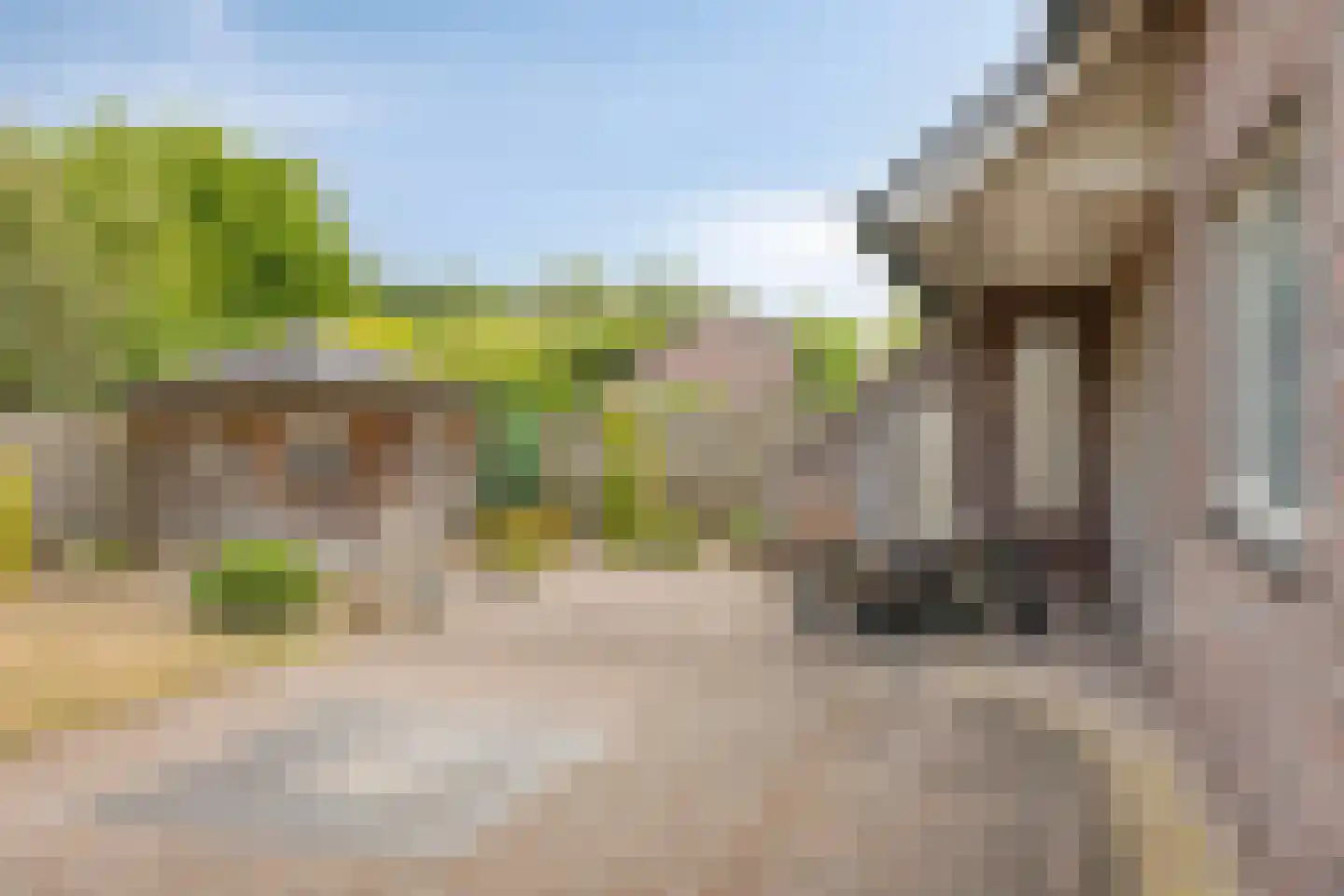 Laagheidseweg 2 Venray thumbnail 34