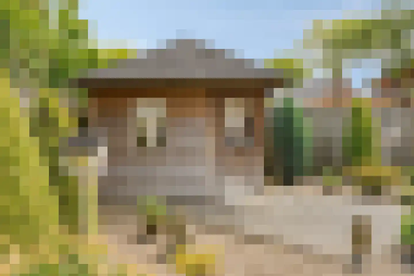 Laagheidseweg 2 Venray thumbnail 35