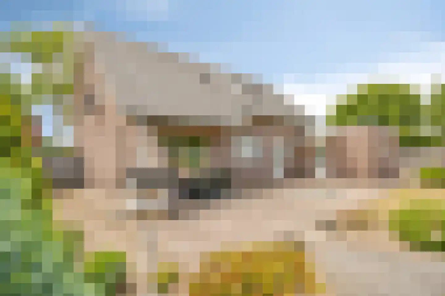 Laagheidseweg 2 Venray thumbnail 36
