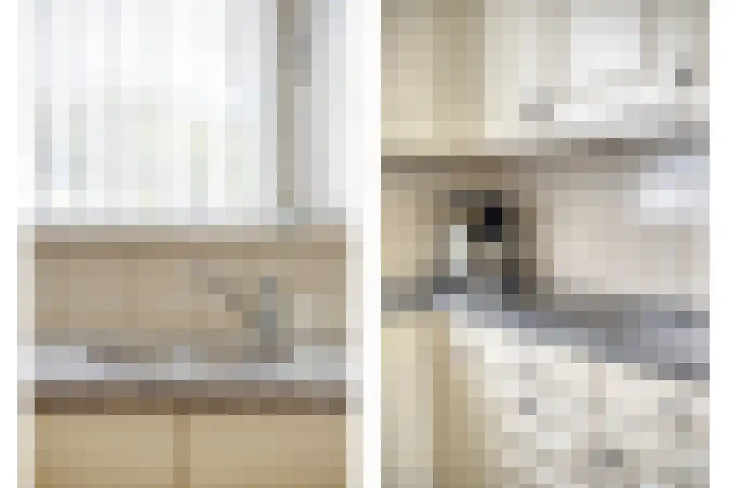 Laagheidseweg 2 Venray thumbnail 8