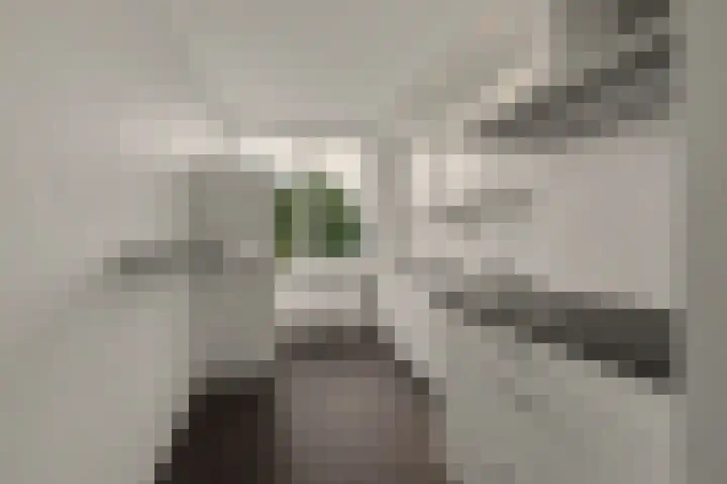 Laaghuissingel 121 Venlo thumbnail 6