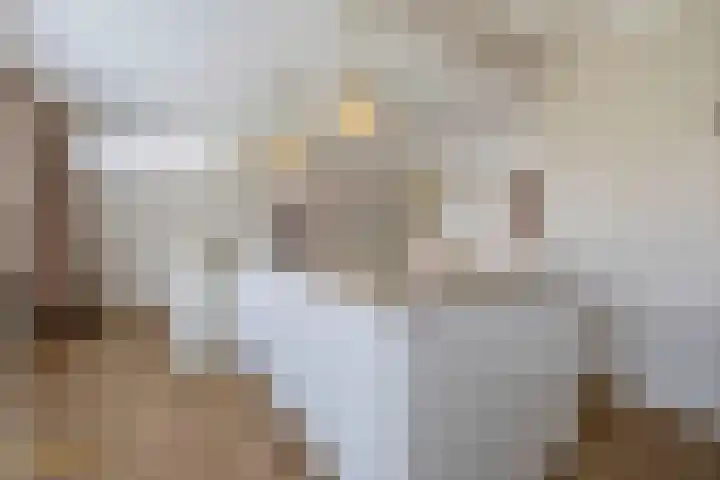 Laaghuissingel 15 Venlo thumbnail 10