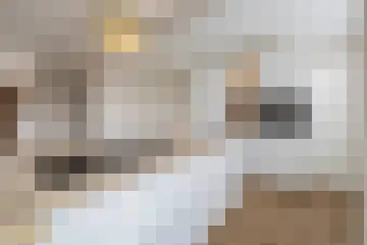 Laaghuissingel 15 Venlo thumbnail 11