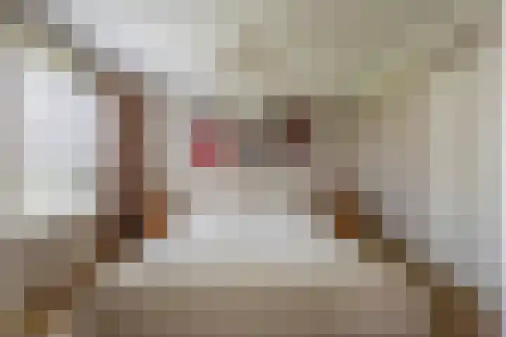 Laaghuissingel 15 Venlo thumbnail 15