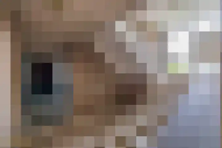 Laaghuissingel 15 Venlo thumbnail 23